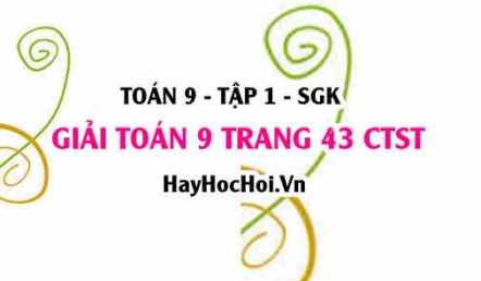 Giải Toán 9 trang 43 tập 1 Chân trời sáng tạo SGK